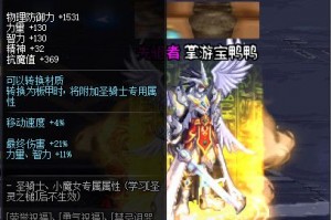 dnf华莱士皮靴